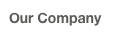 Our Company